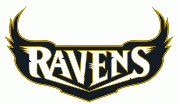 Baltimore Ravens 1996-1998 Wordmark Logo t shirts iron on transfers v3